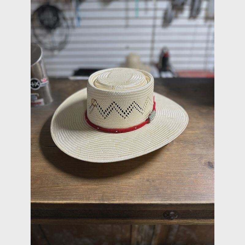 Charlie One Horse Painted Borders Western Hat