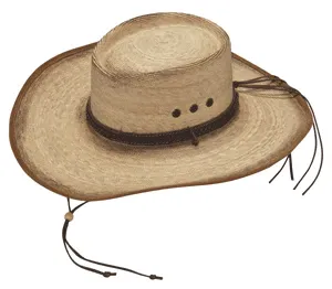 Palm Gamber Western Hat