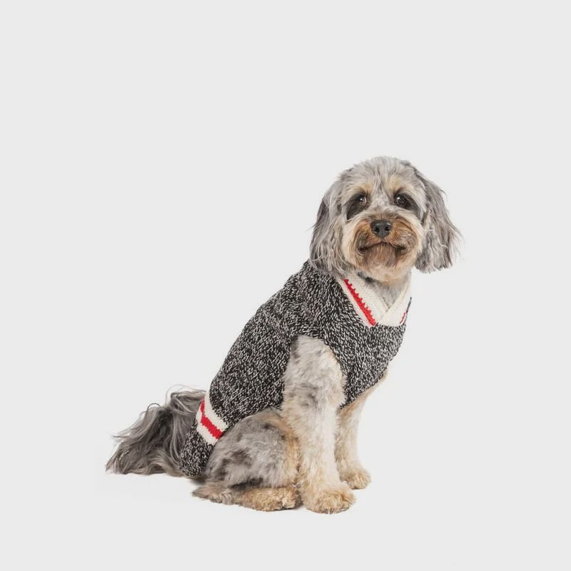 Chilly Dog Sweaters - Boyfriend