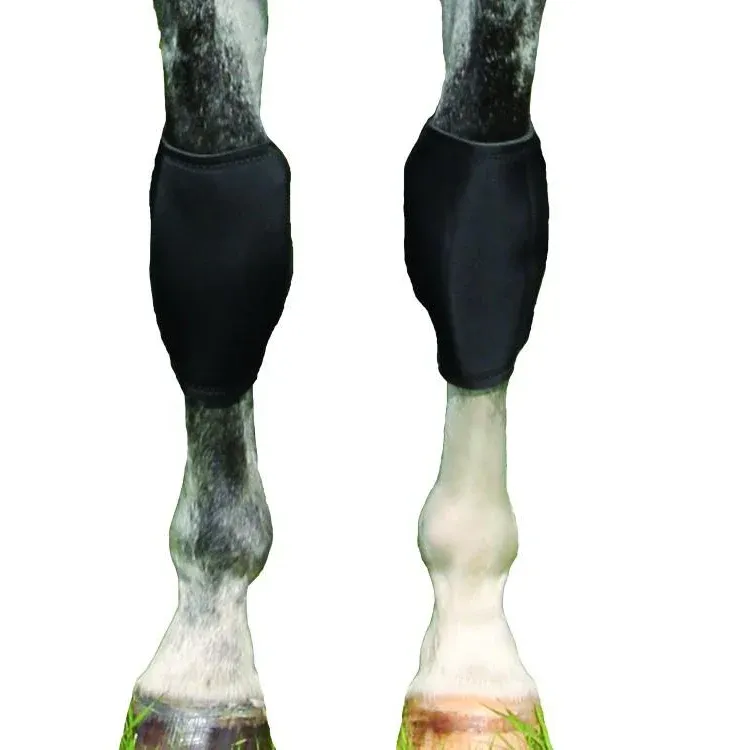 Back on Track Knee Boots (Pair), Size: S