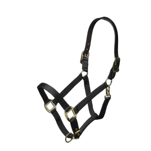 Shires Nylon Halter with Leather Head Strap - Assorted Colors, Color: Black, Size: Cob