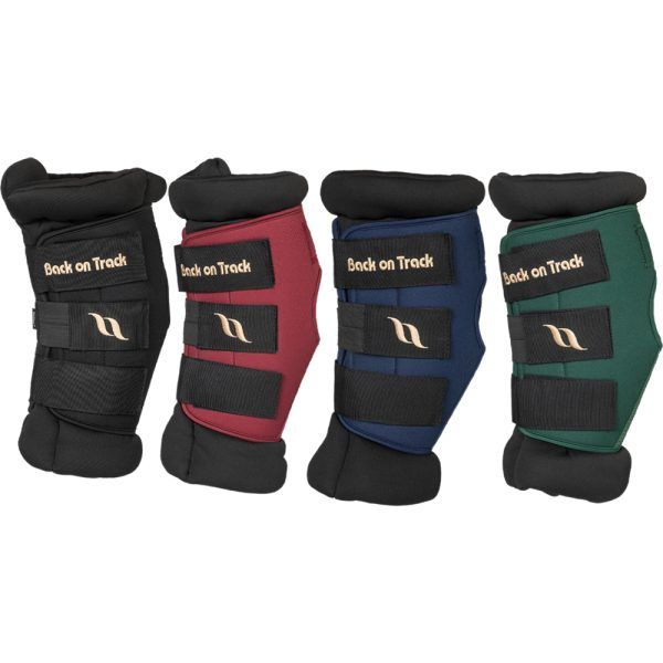 Back On Track Royal Hock Boots