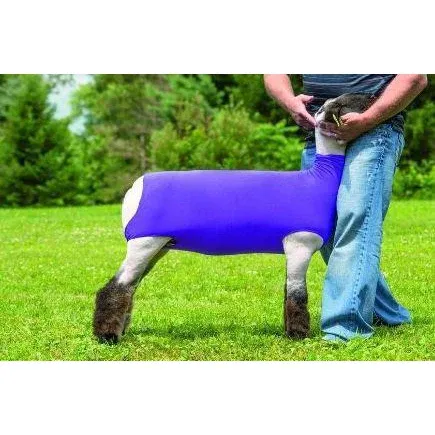 Weaver Spandex Lamb Tube, Medium, Color: Blue