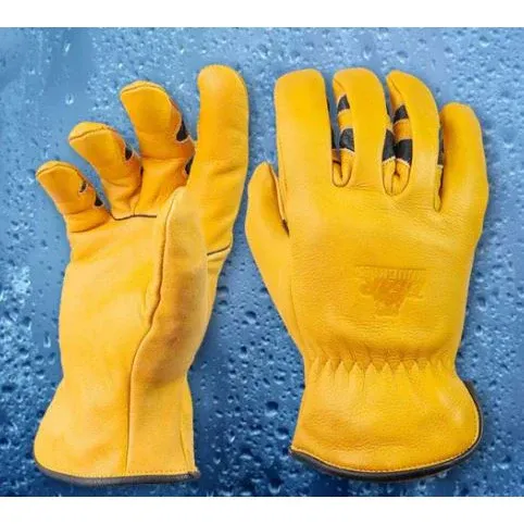 Bear Knuckles Bodacious-D357