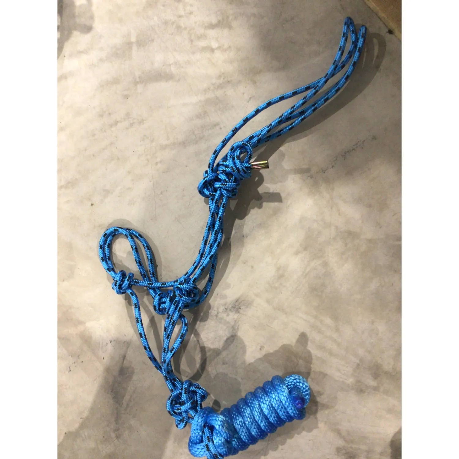 Rope Halter with Lead, Colour: Black/Blue