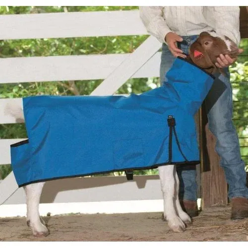 Weaver Cordura® Goat Blanket Large, Color: Blue