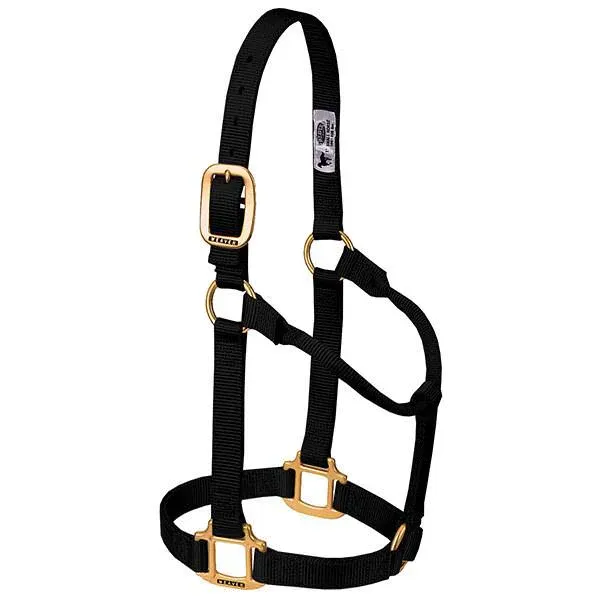 Weaver Leather Original Non-Adjustable Halter 1" - Yearling, Color: Black