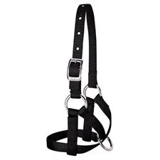 Weaver Alpaca Halter, Large, Color: Black