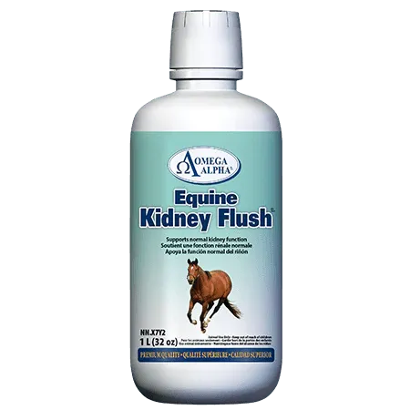 Omega Alpha Equine Kidney Flush