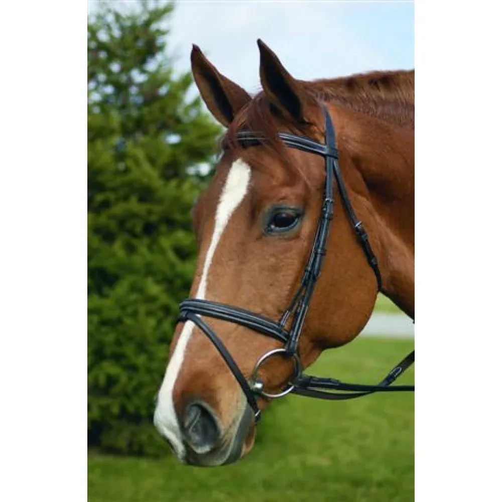 HDR Event Bridle With Flash Attachment, Size: COB