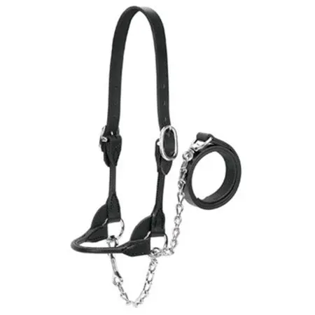 Weaver Dairy/Beef Rounded Show Halter Small - Black, ColorID: BLACK, Size: SMALL