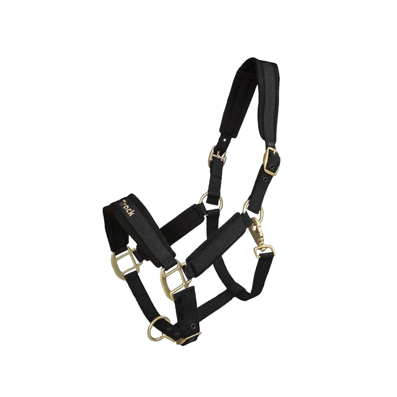 Back on Track Werano Halter, Color: Black