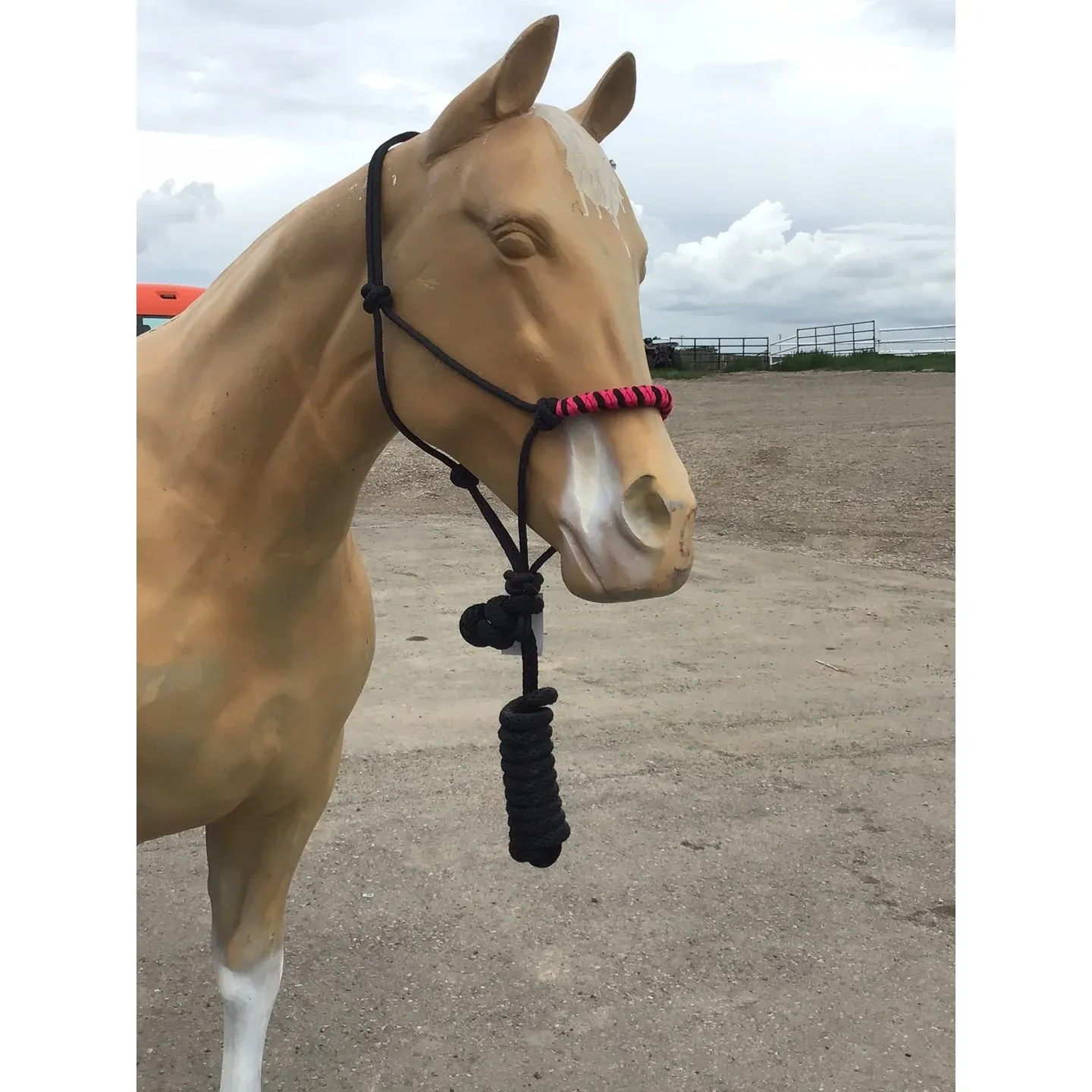 Irvine's Two-Tone Rope Halter w/ 8' Lead, Colour: HOT PINK/BLACK