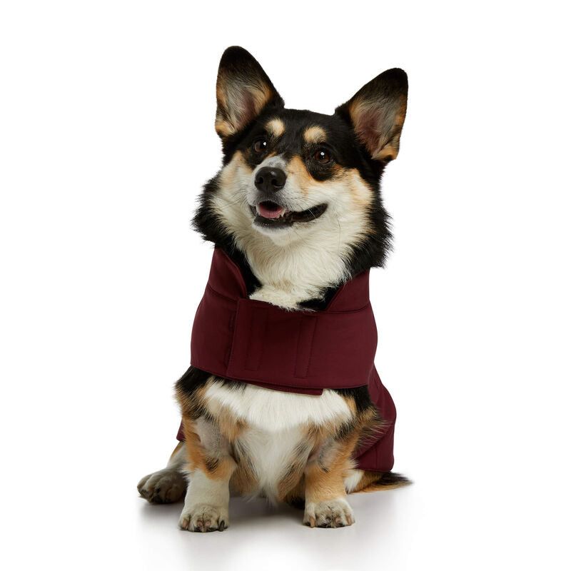 Ariat Team Softshell Dog Jacket Windsor Wine