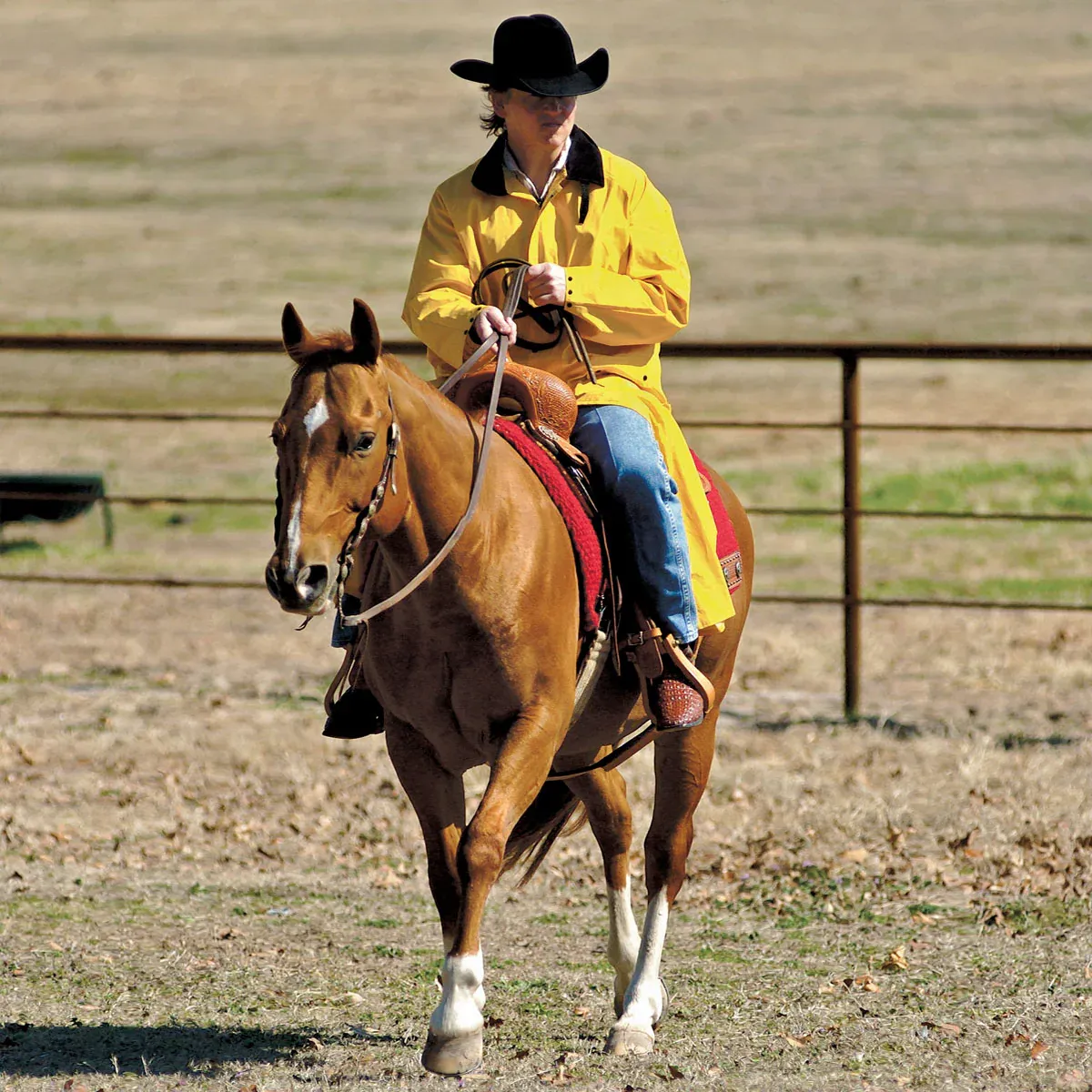 Double S Adult Saddle Slicker - Yellow, Size: 2XL