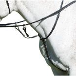 Shires Avignon Running Martingale