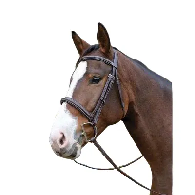 AVIGNON OCALA BRIDLE, Size: COB
