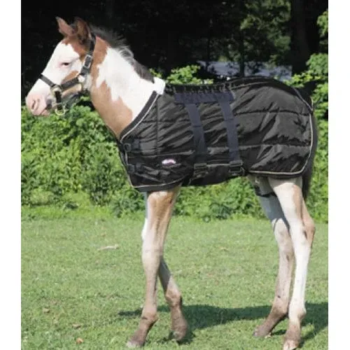 Weaver Foal Blanket, Color: Black
