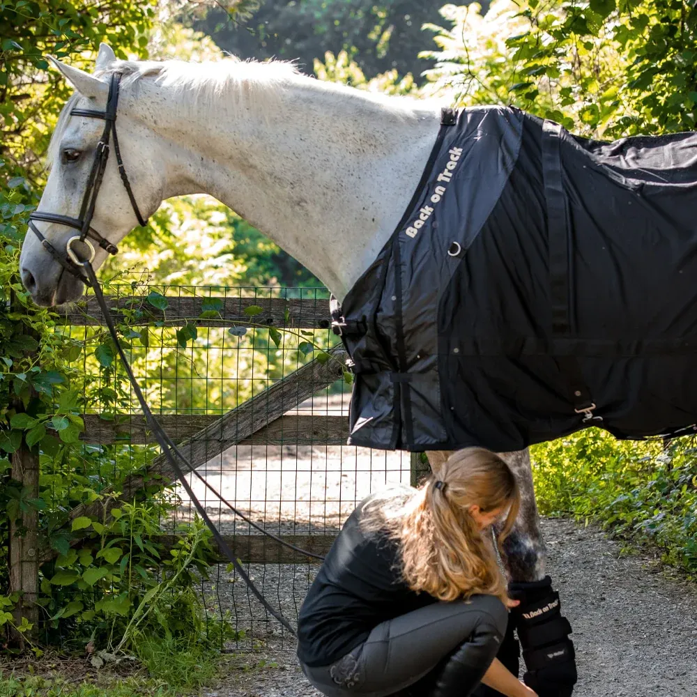 Back on Track Horse Mesh Rug **FINAL SALE**