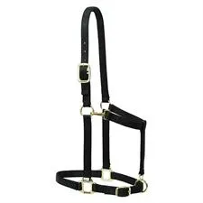Weaver Leather Nylon Adjustable Draft Horse Halter, 1" - Large - Multiple Colours, Color: Black