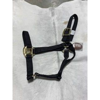Irvine Flat Webbing Halter - Average, Colour: BLACK