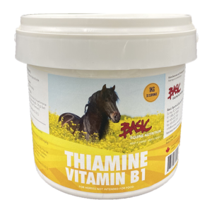 Basic Equine Thiamine B1