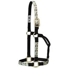 Weaver Leather Nylon Non-Adjustable Horse Halter Average - Multiple Colours, Color: Cactus