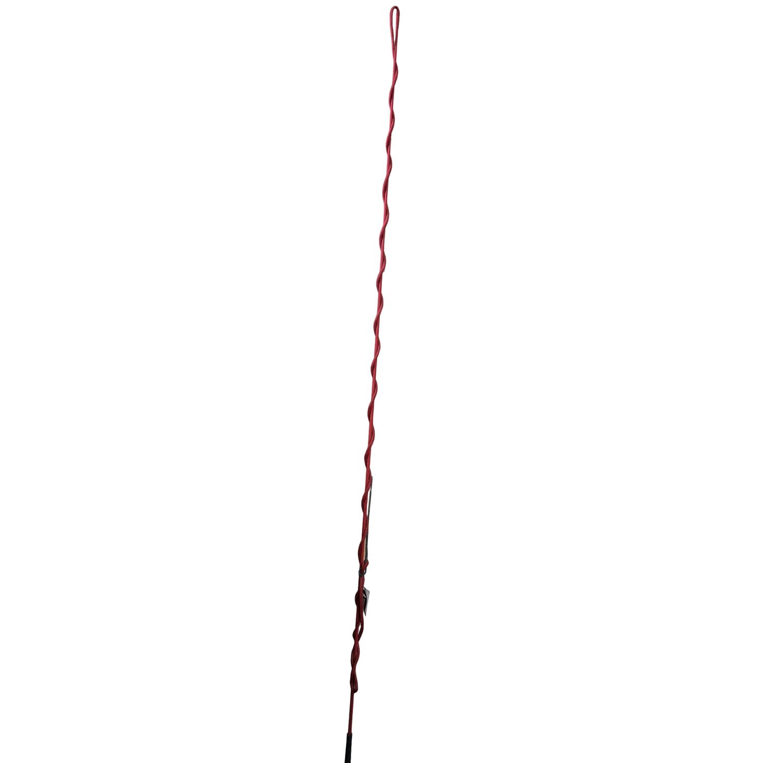 Irvine's Lunge Whip