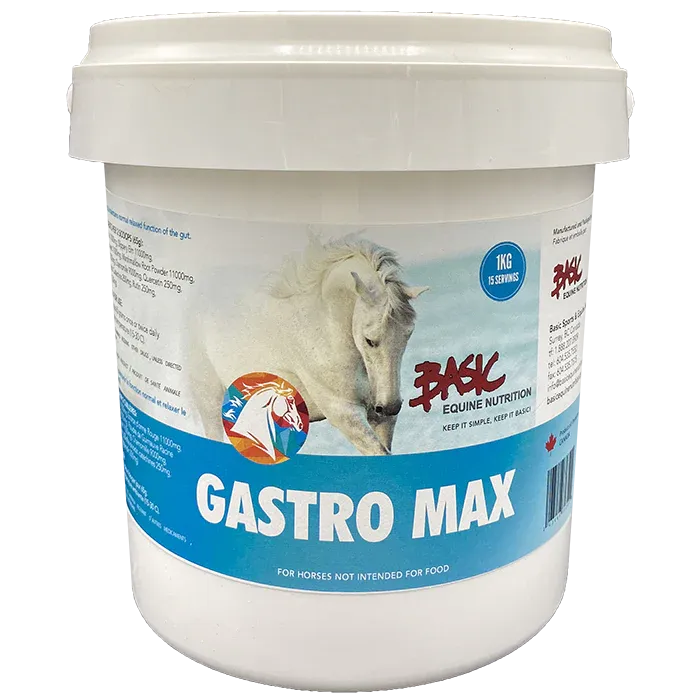 Basic Equine Gastro Max