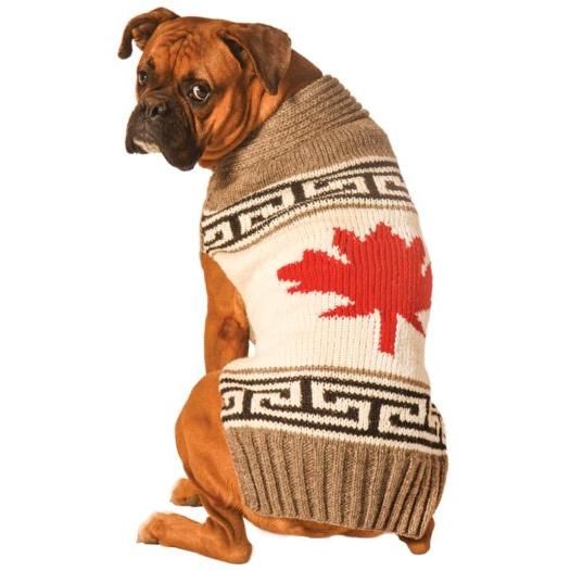 Chilly Dog Sweaters - Maple Leaf