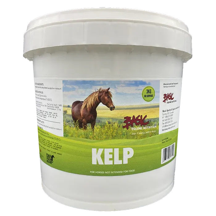 Basic Equine Kelp