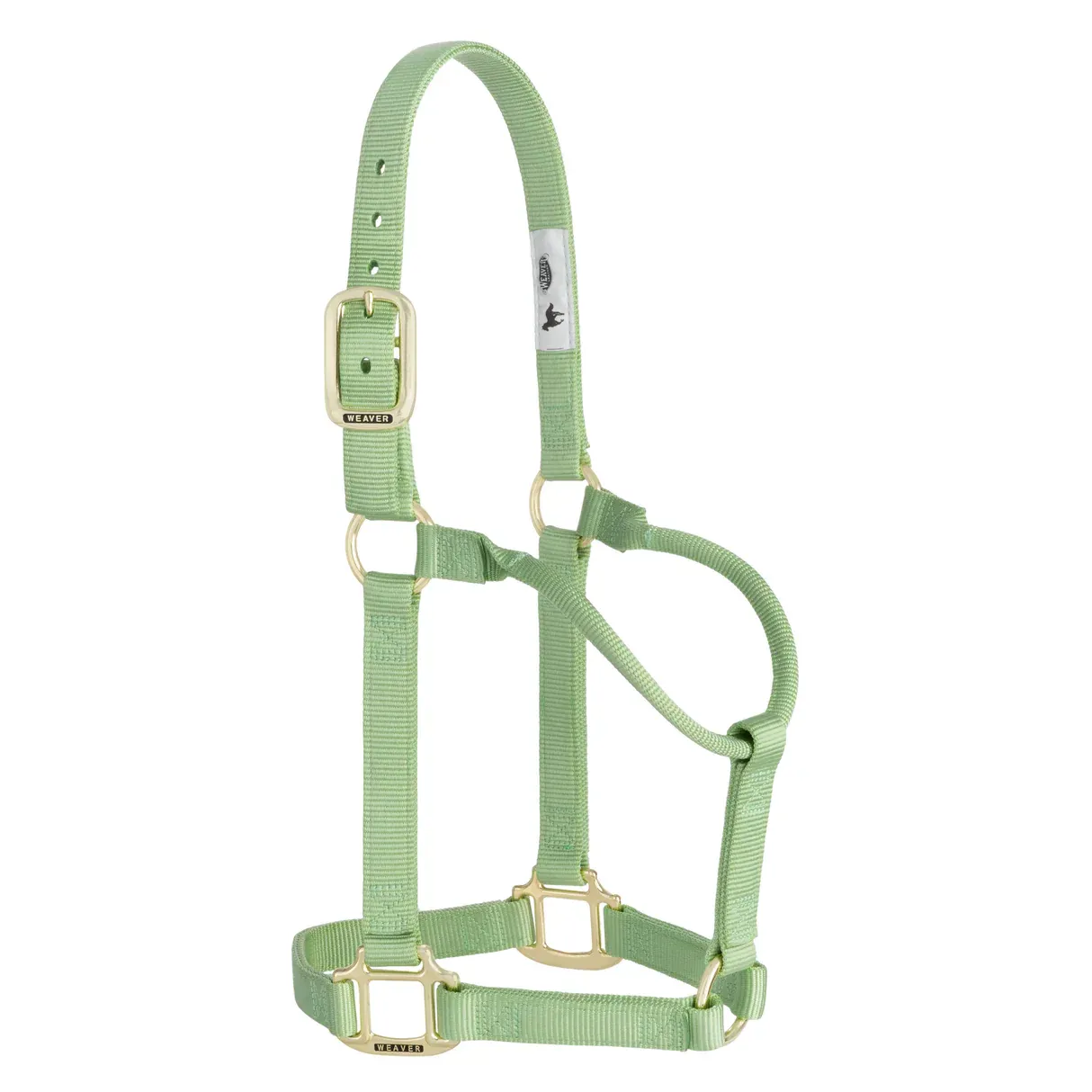 Weaver Leather Original Average Non-Adjustable Nylon Horse Halter - Assorted Colours, Color: 186-pistachio Green