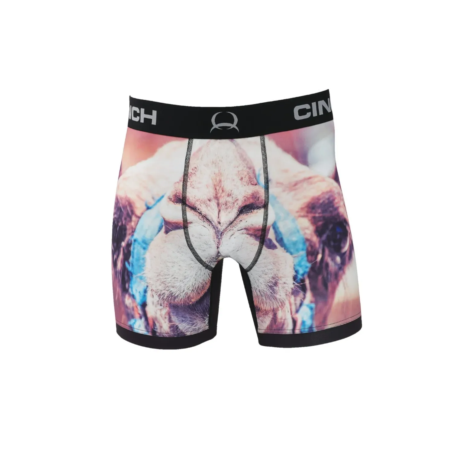 Cinch 6" Camel Boxer Brief, Size: SMALL