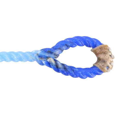 Blue Racer Calf String - Small
