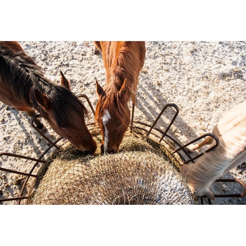 Eco Net EZ Feeder Hay Net Kit