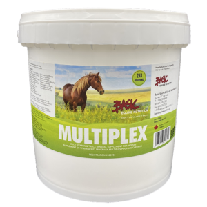 Basic Equine Multiplex