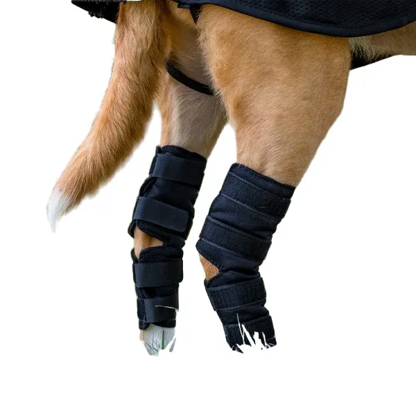 Back On Track Dog Hock Brace (Pair), Size: S