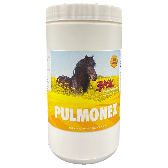 Basic Equine Pulmonex
