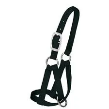 Weaver Llama Halter, Small, Color: Black