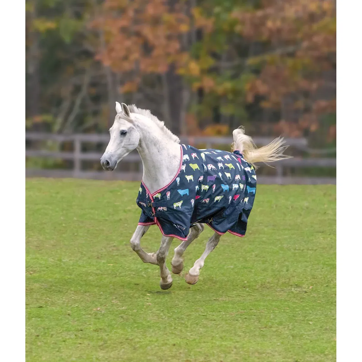 TEMPEST ORIGINAL 200, Color: Cow Print, Size: 75
