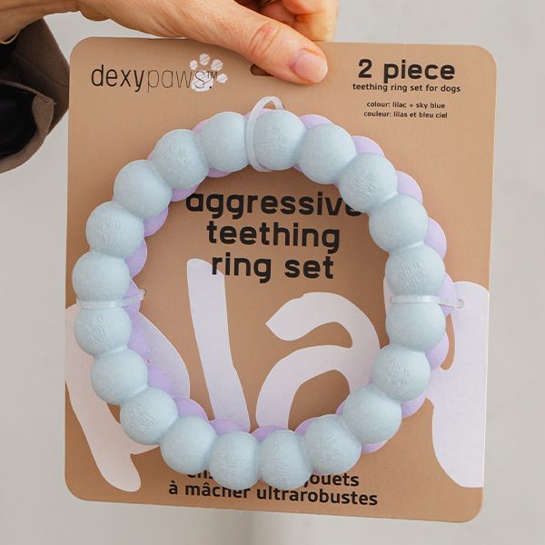 Dexypaws Dog Aggresive Chew Teething Ring-Purple-Blue