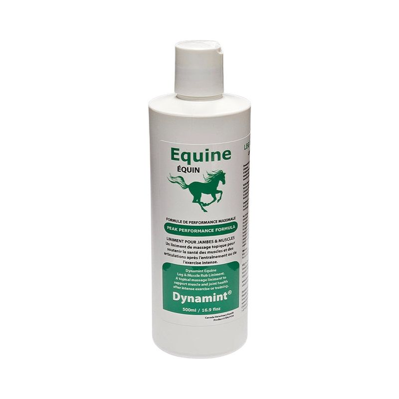Dynamint Equine Leg &amp; Muscle Rub-250ml