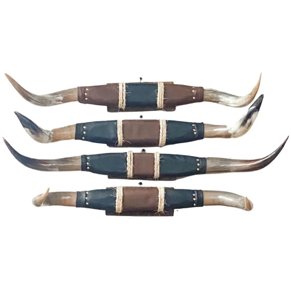 El Paso Polished Mounted Horns