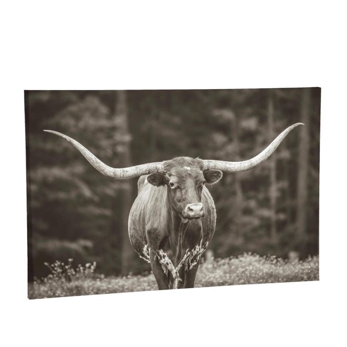Evergreen Petal &amp; Plow Longhorn Outdoor Canvas