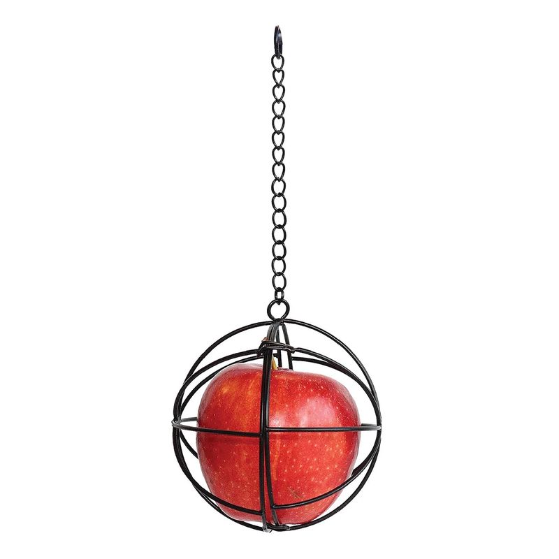 Little Giant Chicken Treat Ball 4"