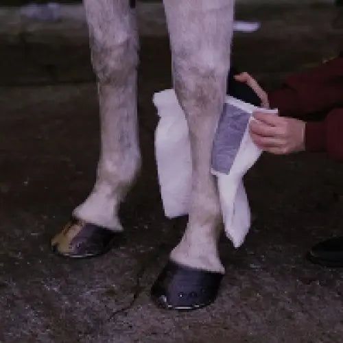 Animalintex Hoof Poultice Package of 3