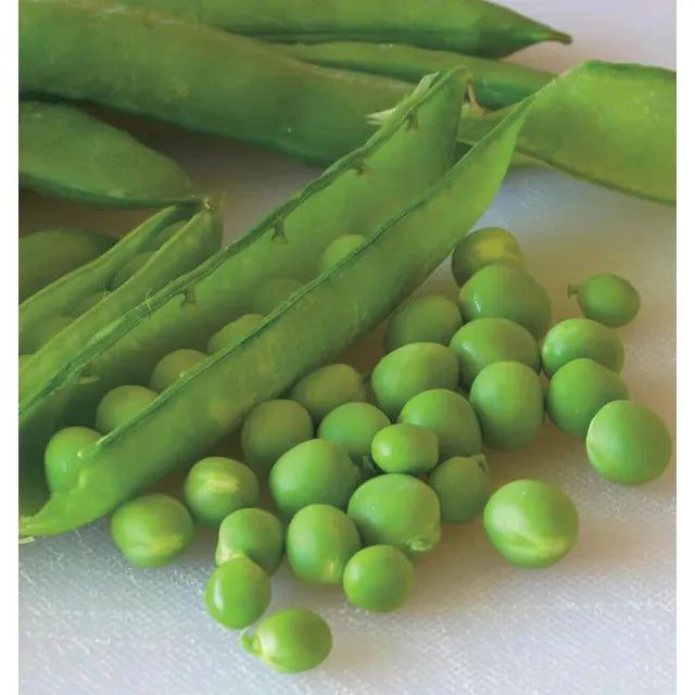 West Coast Seeds - Vegetable Seeds - Green Arrow Shelling Peas 75g