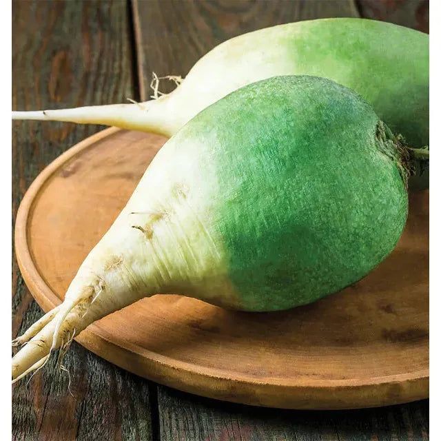 West Coast Seeds - Vegetable Seeds - Wasabi Radish 0.5g