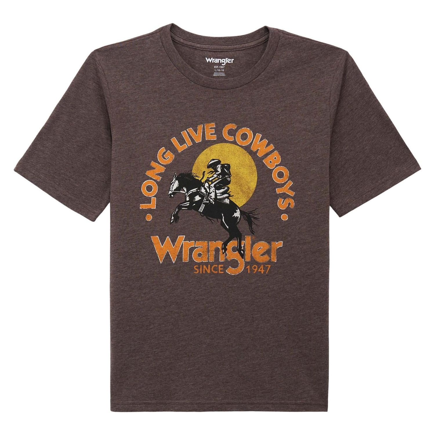 Wrangler Boy's Graphic Short Sleeve Tee Shirt - Mole Heather