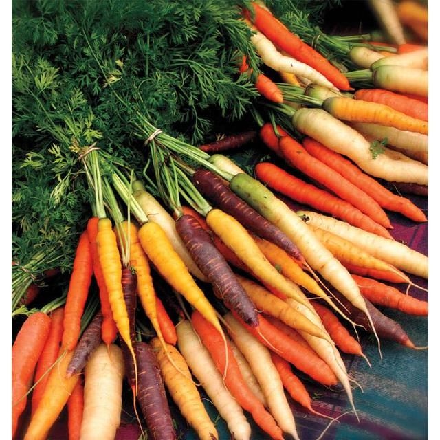 West Coast Seeds Carrots - Rainbow Blend 0.75g